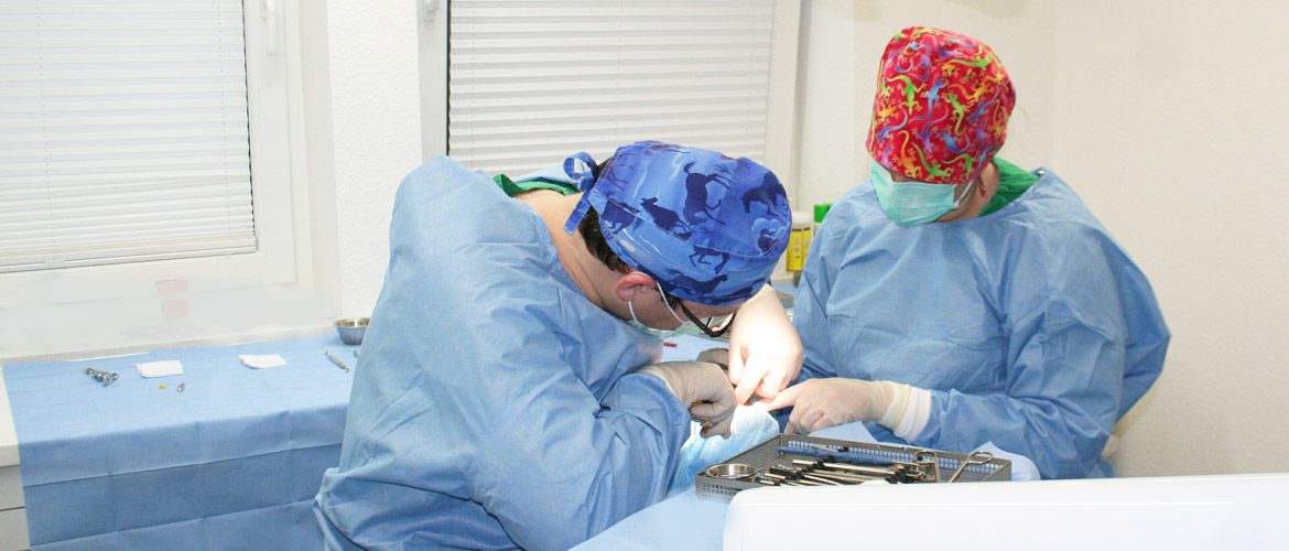 Oralchirurgie